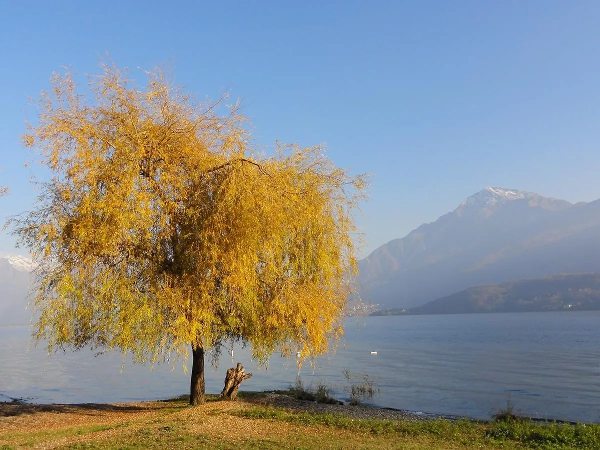 Appartamento Gorgotto Gravedona 0*,  Italy